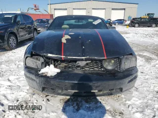 2005 Ford Mustang GT Deluxe with VIN 1ZVHT85H655199389, listed as a Copart auction lot 45215765 with 98,105 mi miles and Salvage Title. Bid and sale history available at DreamBid. Image 5.