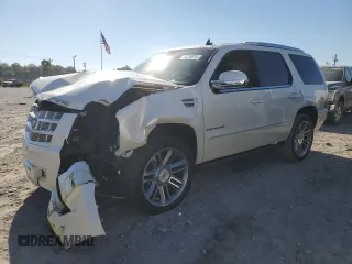 2014 Cadillac Escalade Premium z VIN 1GYS4CEF9ER243444, wystawiony jako Copart lot #75126974 z przebiegiem Nie podano mil oraz Szkoda całkowita • Salvage title. Historia ofert i sprzedaży dostępna na DreamBid. Obrazek 1.