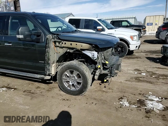 2015 Ford F-150 XLT with VIN 1FTEW1EG7FKD27007, listed as a Copart auction lot 46314205 with 156,171 mi miles and Salvage Title. Bid and sale history available at carsss.com. Image 11.