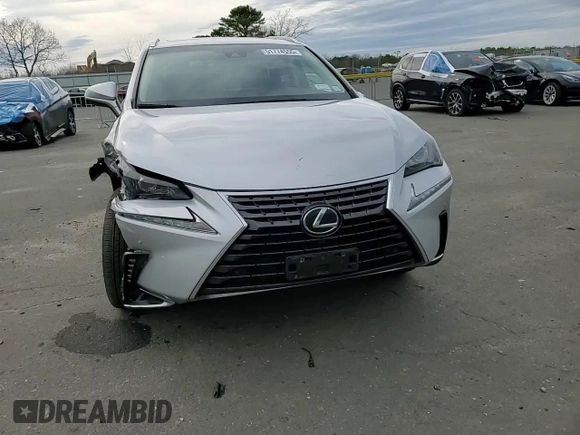 2019 Lexus NX 300 with VIN JTJBARBZ7K2198523, listed as a Copart auction lot 51774555 with 55,493 mi miles and Salvage Title. Bid and sale history available at DreamBid. Image 12.