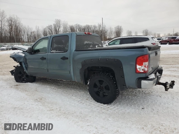 2009 Chevrolet Silverado 1500 LT with VIN 3GCEK23339G254022, listed as a Copart auction lot 45961115 with 128,264 mi miles and Clean Title. Bid and sale history available at DreamBid. Image 2.