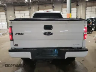 2013 Ford F-150 XL with VIN 1FTMF1EF6DFB52970, listed as a Copart auction lot 89300035 with 189,882 mi miles and Salvage Title. Bid and sale history available at DreamBid. Image 6.