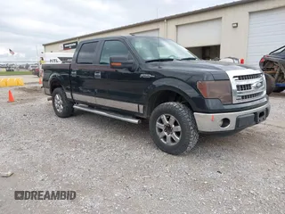 2013 Ford F-150 XL with VIN 1FTEW1CM7DKF55286, listed as a IAAI auction lot 42356034 with 207,413 mi miles and . Bid and sale history available at DreamBid. Image 1.