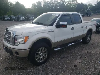 2009 Ford F-150 XL with VIN 1FTPW14V49KB51448, listed as a Copart auction lot 57748555 with 187,260 mi miles and Clean title. Bid and sale history available at DreamBid. Image 1.