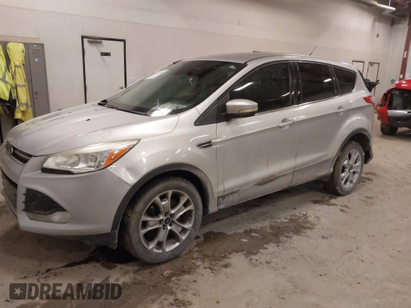 2013 Ford Escape SEL with VIN 1FMCU0H98DUC72150, listed as a IAAI auction lot 41213748 with 136,323 mi miles. Bid and sale history available at carsss.com. Image 2.