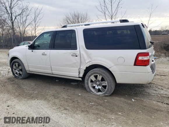 2010 Ford Expedition Max Limited with VIN 1FMJK2A57AEA38393, listed as a Copart auction lot 46665295 with 133,024 mi miles and Salvage title. Bid and sale history available at DreamBid. Image 2.