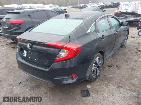 2017 Honda Civic Sedan EX-L with VIN 19XFC1F71HE213764, listed as a IAAI auction lot 41843279 with 49,748 mi miles. Bid and sale history available at carsss.com. Image 4.