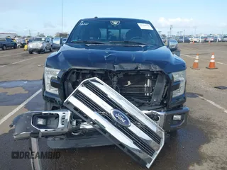 2016 Ford F-150 XLT with VIN 1FTEW1EG6GFB84352, listed as a IAAI auction lot 41910155 with 128,756 mi miles. Bid and sale history available at carsss.com. Image 6.