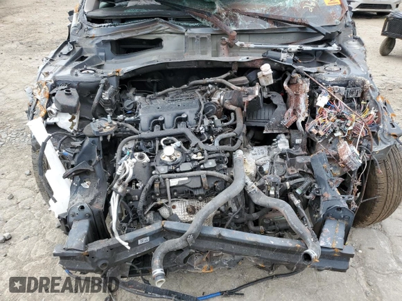 2020 Hyundai Palisade SEL with VIN KM8R3DHE1LU131520, listed as a Copart auction lot 64320425 with Not provided miles and Clean title. Bid and sale history available at DreamBid. Image 12.