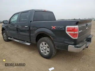 2010 Ford F-150 XL with VIN 1FTEW1E84AFD14774, listed as a Copart auction lot 60530435 with 150,299 mi miles and Salvage title. Bid and sale history available at DreamBid. Image 2.