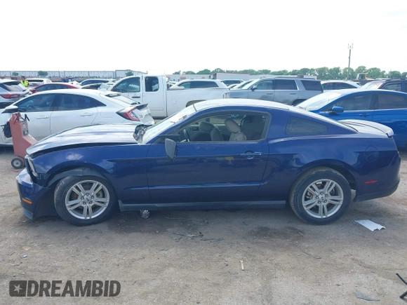 2010 Ford Mustang V6 with VIN 1ZVBP8AN9A5140305, listed as a IAAI auction lot 42171784 with 218,434 mi miles and . Bid and sale history available at DreamBid. Image 14.