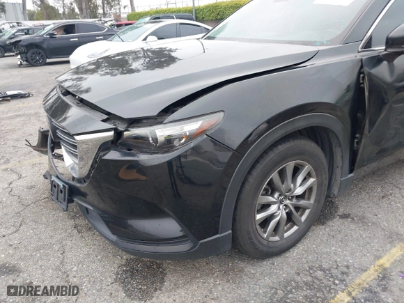 2019 Mazda CX-9 Touring with VIN JM3TCBCY3K0313068, listed as a IAAI auction lot 41881524 with 79,380 mi miles. Bid and sale history available at carsss.com. Image 17.