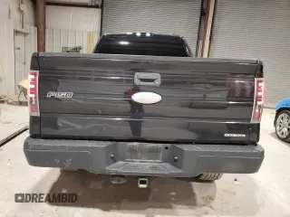 2011 Ford F-150 XL with VIN 1FTMF1EF7BFB43742, listed as a Copart auction lot 87248424 with 164,668 mi miles and Salvage title. Bid and sale history available at DreamBid. Image 10.
