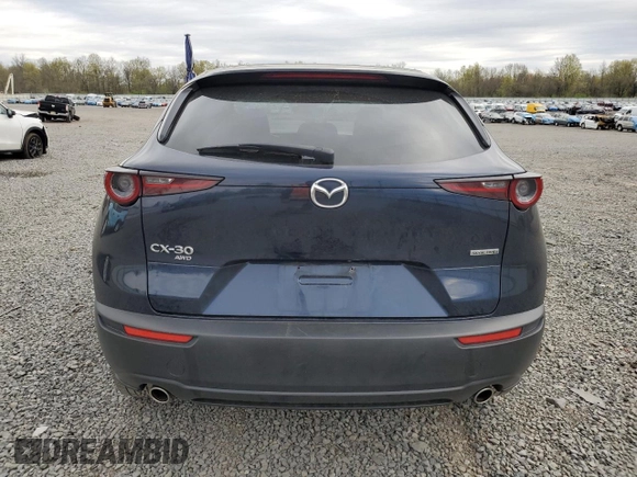 2020 Mazda CX-30 Select with VIN 3MVDMBCL2LM119689, listed as a Copart auction lot 53576185 with 123,605 mi miles and Salvage Title. Bid and sale history available at DreamBid. Image 6.