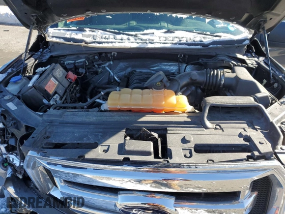 2017 Ford F-150 XL with VIN 1FTEW1EF8HFB34383, listed as a Copart auction lot 45608185 with Not Provided miles and Salvage Title. Bid and sale history available at carsss.com. Image 12.