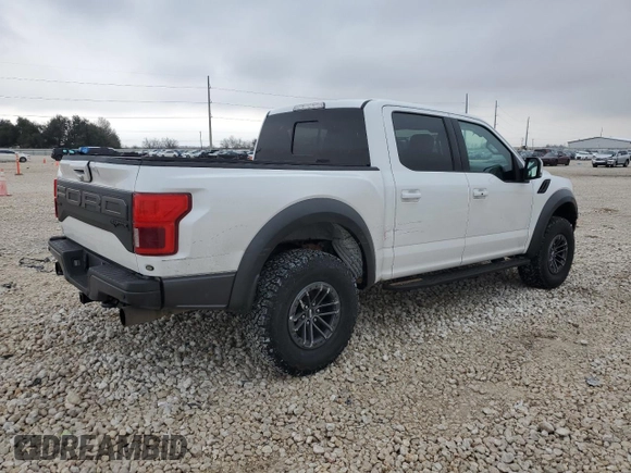 2019 Ford F-150 Raptor with VIN 1FTFW1RG7KFB03737, listed as a Copart auction lot 45483195 with 79,348 mi miles and Salvage Title. Bid and sale history available at carsss.com. Image 3.
