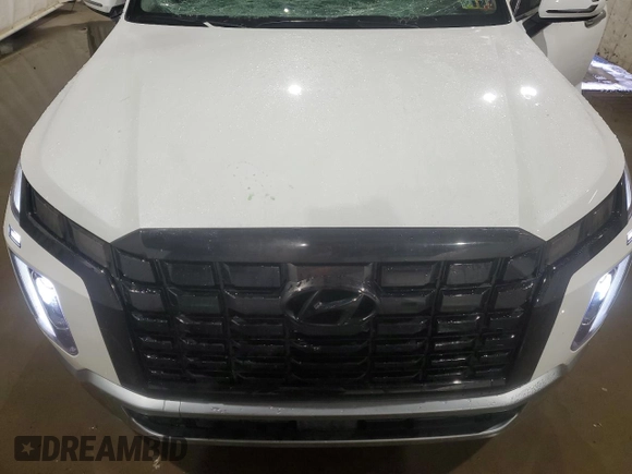 2025 Hyundai Palisade SEL z VIN KM8R2DGE9SU838674, wystawiony jako Copart lot #56101585 z przebiegiem 12 686 mil mil oraz Czysty tytuł • Clean title. Historia ofert i sprzedaży dostępna na DreamBid. Obrazek 12.