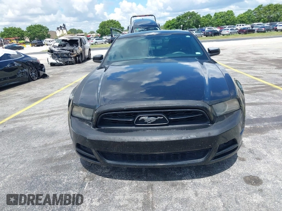 2013 Ford Mustang V6 with VIN 1ZVBP8AM5D5263496, listed as a IAAI auction lot 42580278 with 107,040 mi miles and . Bid and sale history available at DreamBid. Image 12.