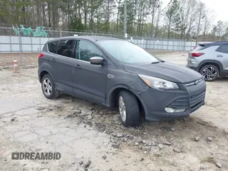 2013 Ford Escape SE with VIN 1FMCU0GX1DUD14948, listed as a IAAI auction lot 41876628 with 277,194 mi miles and . Bid and sale history available at DreamBid. Image 1.