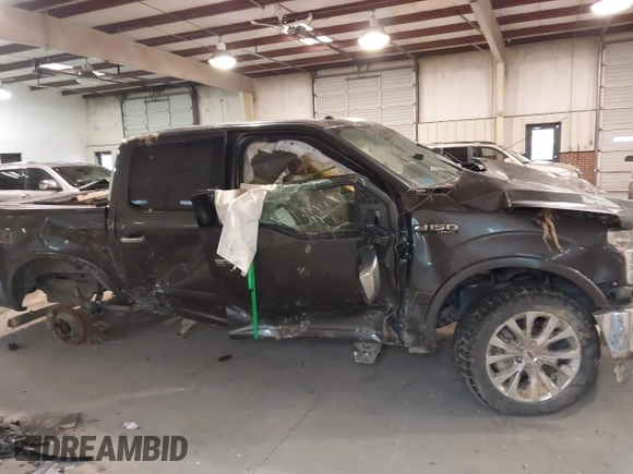 2016 Ford F-150 XLT with VIN 1FTEW1EFXGFA42559, listed as a IAAI auction lot 41619813 with 1 mi miles. Bid and sale history available at carsss.com. Image 12.