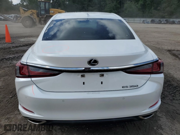2019 Lexus ES 350 with VIN 58ABZ1B17KU043387, listed as a Copart auction lot 54322675 with 54,473 mi miles and Salvage Title. Bid and sale history available at DreamBid. Image 6.
