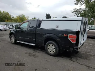 2013 Ford F-150 XL with VIN 1FTEX1CM0DKD75533, listed as a Copart auction lot 76499874 with 183,443 mi miles and Salvage Title. Bid and sale history available at carsss.com. Image 2.