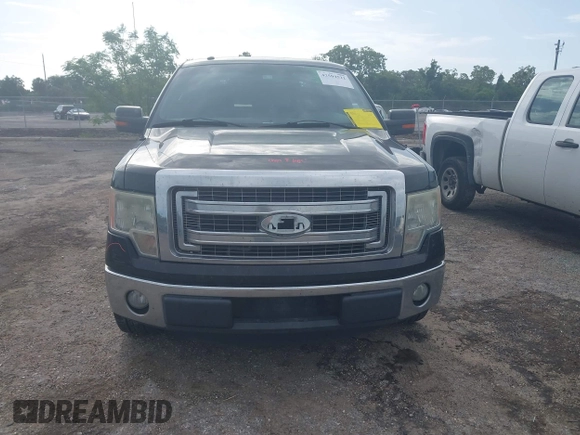2013 Ford F-150 XL with VIN 1FTEX1CM1DFA35378, listed as a IAAI auction lot 42504522 with 204,858 mi miles and . Bid and sale history available at DreamBid. Image 12.