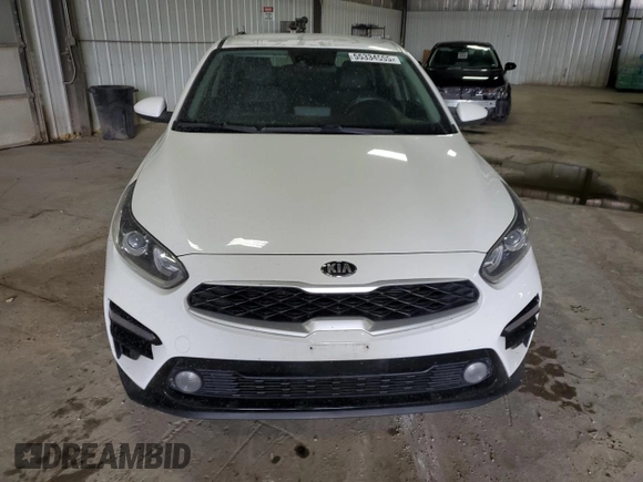 2019 Kia Forte LXS z VIN 3KPF24AD3KE092423, wystawiony jako Copart lot #55334595 z przebiegiem 55 747 mil mil oraz Szkoda całkowita • Salvage title. Historia ofert i sprzedaży dostępna na DreamBid. Obrazek 5.