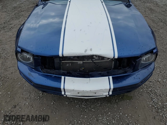 2008 Ford Mustang Deluxe with VIN 1ZVHT80N185182565, listed as a Copart auction lot 61276625 with 172,421 mi miles and Salvage title. Bid and sale history available at DreamBid. Image 11.