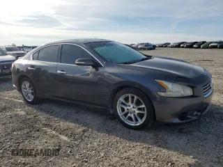 2011 Nissan Maxima SV with VIN 1N4AA5AP5BC840910, listed as a Copart auction lot 54042515 with Not provided miles and Salvage title. Bid and sale history available at DreamBid. Image 4.