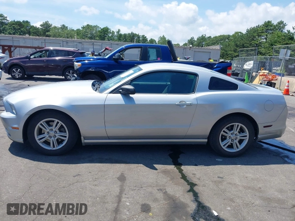 2013 Ford Mustang V6 with VIN 1ZVBP8AM5D5218722, listed as a IAAI auction lot 42728064 with 138,906 mi miles and . Bid and sale history available at DreamBid. Image 15.