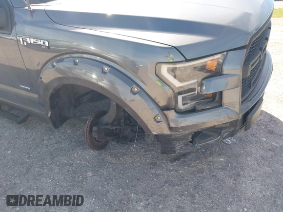 2017 Ford F-150 XL с VIN 1FTEW1CP4HFB49197, выставлен на аукционе IAAI как лот 41745735 с пробегом 76 106 миль миль и . История ставок и продаж доступна на DreamBid. Изображение 6.