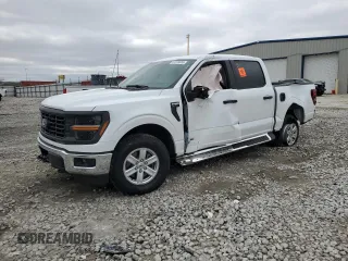 2024 Ford F-150 with VIN 1FTFW1FD4RFB40135, listed as a Copart auction lot 51074655 with Not provided miles and Salvage title. Bid and sale history available at DreamBid. Image 1.