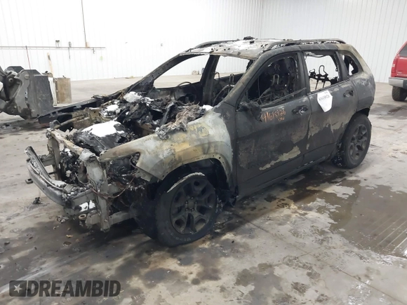 2019 Jeep Cherokee Trailhawk Elite with VIN 1C4PJMBX6KD397657, listed as a IAAI auction lot 41618926 with 1 mi miles. Bid and sale history available at carsss.com. Image 2.