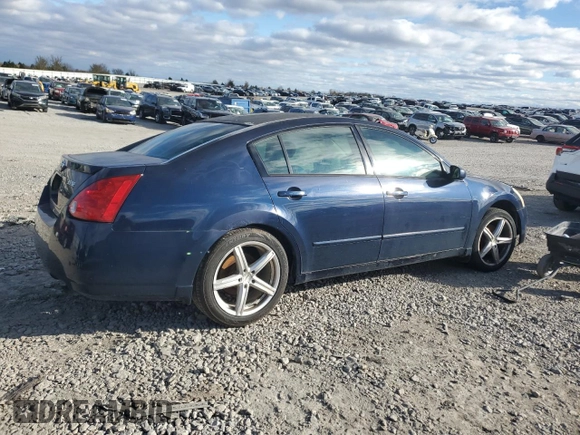 2005 Nissan Maxima 3.5 SL with VIN 1N4BA41E65C829951, listed as a Copart auction lot 81616234 with 0 mi miles and Salvage Title. Bid and sale history available at carsss.com. Image 3.