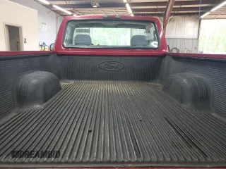 1995 Ford F-150 with VIN 1FTEF14NXSNA76234, listed as a Copart auction lot 52021645 with 168,695 mi miles and Salvage Title. Bid and sale history available at carsss.com. Image 11.