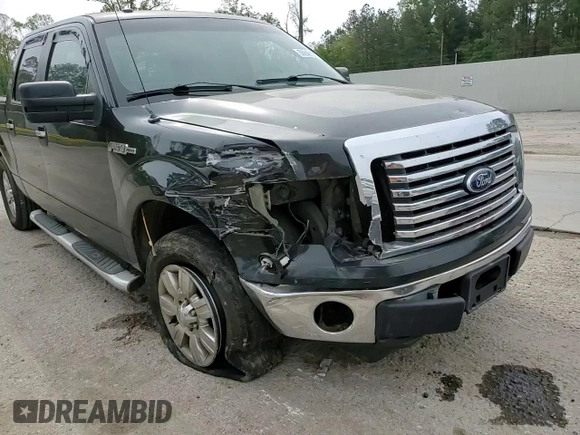 2010 Ford F-150 XL with VIN 1FTEW1C88AFC56624, listed as a Copart auction lot 50648135 with 228,961 mi miles and Salvage Title. Bid and sale history available at carsss.com. Image 10.