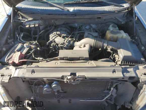 2013 Ford F-150 XL with VIN 1FTMF1CM9DKD34252, listed as a Copart auction lot 49175385 with 215,746 mi miles and Salvage Title. Bid and sale history available at carsss.com. Image 11.