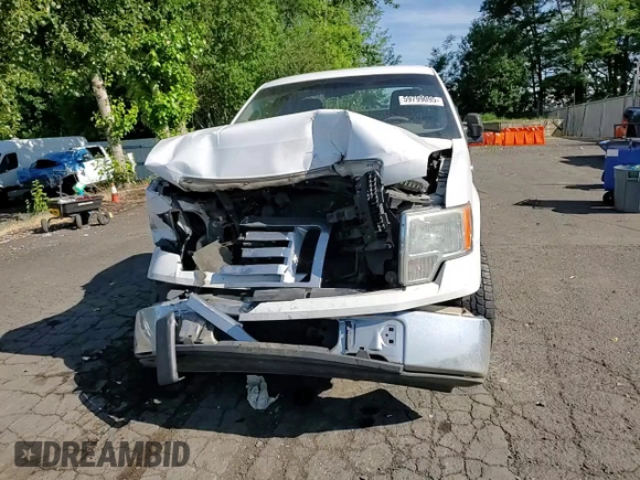 2009 Ford F-150 XL z VIN 1FTRF12W69KB72046, wystawiony jako Copart lot #59799095 z przebiegiem Nie podano mil oraz Szkoda całkowita • Salvage title. Historia ofert i sprzedaży dostępna na DreamBid. Obrazek 13.