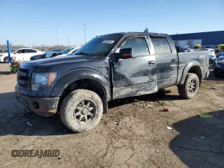 2013 Ford F-150 XL with VIN 1FTFW1EF6DFC97287, listed as a Copart auction lot 53294435 with 271,032 mi miles and Clean title. Bid and sale history available at DreamBid. Image 1.