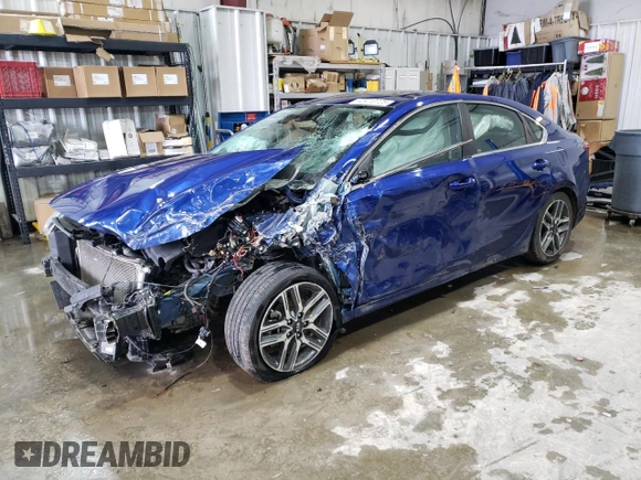 2021 Kia Forte EX with VIN 3KPF54AD5ME410889, listed as a Copart auction lot 45410725 with Not Provided miles and Salvage Title. Bid and sale history available at DreamBid. Image 1.