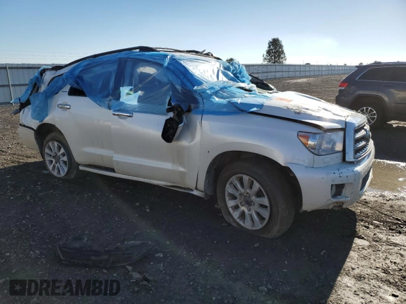 2017 Toyota Sequoia Platinum with VIN 5TDDY5G12HS149881, listed as a Copart auction lot 79488914 with 0 mi miles and Salvage Title. Bid and sale history available at carsss.com. Image 4.
