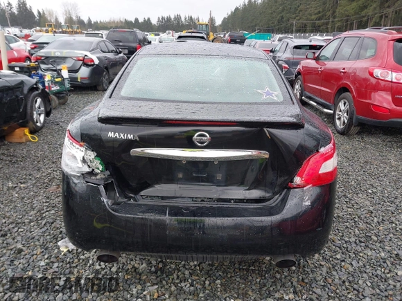 2009 Nissan Maxima SV with VIN 1N4AA51E39C856967, listed as a IAAI auction lot 41919510 with 231,933 mi miles and . Bid and sale history available at DreamBid. Image 16.