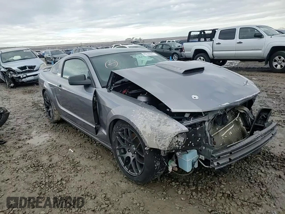 2007 Ford Mustang GT Deluxe with VIN 1ZVFT82H875274785, listed as a Copart auction lot 45746645 with Not provided miles and Salvage title. Bid and sale history available at DreamBid. Image 11.