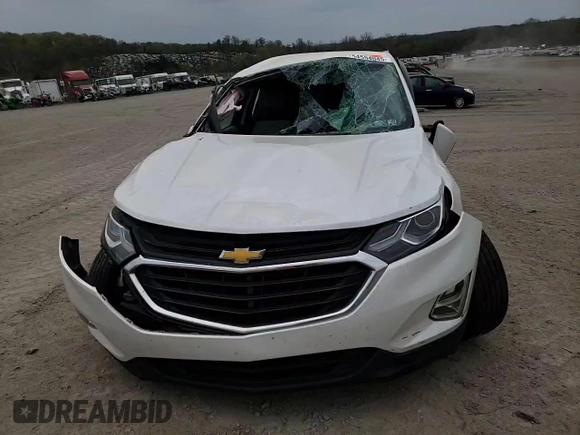 2018 Chevrolet Equinox LT with VIN 2GNAXSEV1J6173929, listed as a Copart auction lot 54554045 with 126,275 mi miles and Salvage Title. Bid and sale history available at carsss.com. Image 14.