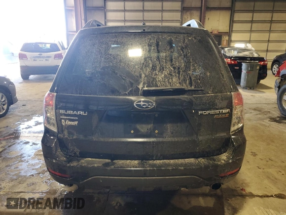 2010 Subaru Forester X Limited with VIN JF2SH6DC2AH711650, listed as a Copart auction lot 48133555 with 124,244 mi miles and Salvage Title. Bid and sale history available at DreamBid. Image 6.