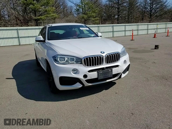 2018 BMW X6 xDrive50i with VIN 5UXKU6C52J0W39147, listed as a Copart auction lot 48183764 with 83,934 mi miles. Bid and sale history available at carsss.com. Image 12.