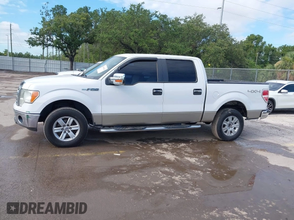 2009 Ford F-150 XL with VIN 1FTPW14V09FB17970, listed as a IAAI auction lot 42610024 with 162,631 mi miles and . Bid and sale history available at DreamBid. Image 14.