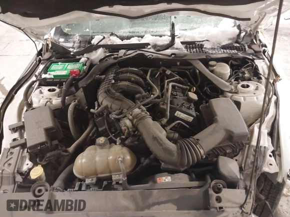 2016 Ford Mustang V6 with VIN 1FATP8EM3G5280017, listed as a IAAI auction lot 41608143 with 124,592 mi miles and . Bid and sale history available at DreamBid. Image 10.