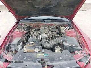 2005 Ford Mustang Deluxe with VIN 1ZVFT80N755228032, listed as a IAAI auction lot 42266782 with 256,895 mi miles and . Bid and sale history available at DreamBid. Image 10.